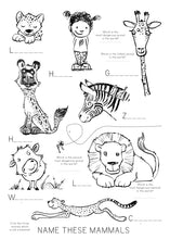 Load image into Gallery viewer, Kid’s Nature Activity Book
